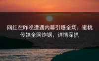 网红在昨晚遭遇内幕引爆全场，蜜桃传媒全网炸锅，详情深扒