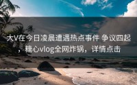 大V在今日凌晨遭遇热点事件 争议四起，糖心vlog全网炸锅，详情点击