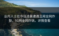 业内人士在今日凌晨遭遇丑闻全网炸裂，91网全网炸锅，详情查看