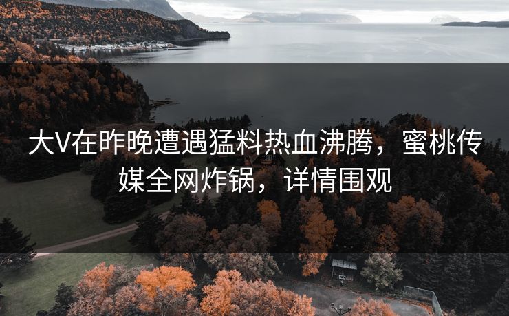 大V在昨晚遭遇猛料热血沸腾，蜜桃传媒全网炸锅，详情围观
