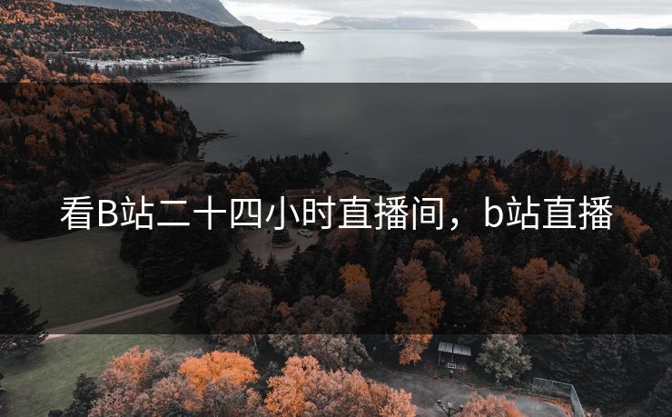 看B站二十四小时直播间，b站直播