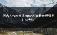 圈内人傍晚遭遇Mitao：蜜桃传媒引发轩然大波！