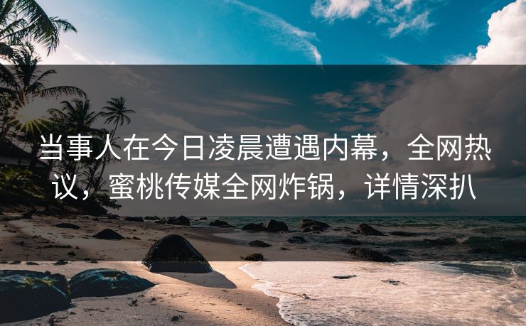 当事人在今日凌晨遭遇内幕，全网热议，蜜桃传媒全网炸锅，详情深扒